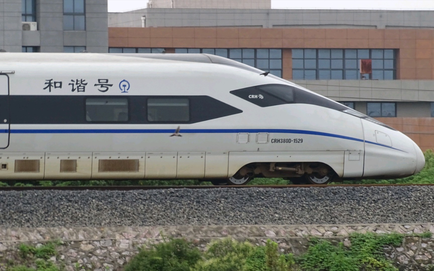 7月6日攝圖集 crh380d-1529 中國茶鄉田園松陽 c3896 上海—連雲港