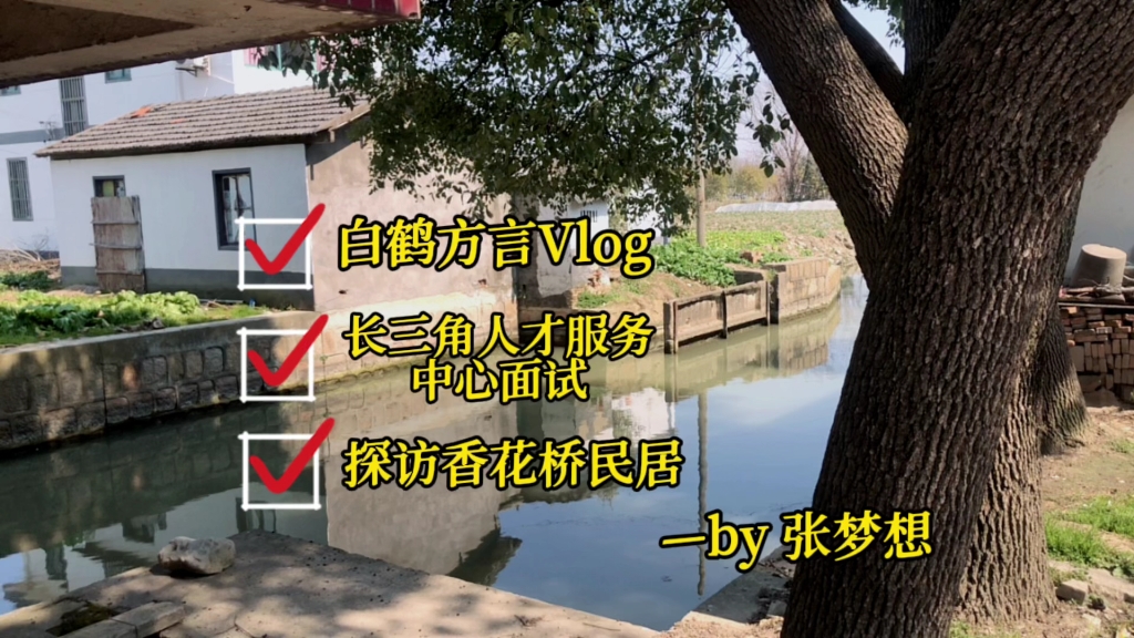 今天来长三角人才服务中心面试,结束后探访香花桥民居,依然白鹤方言哔哩哔哩bilibili