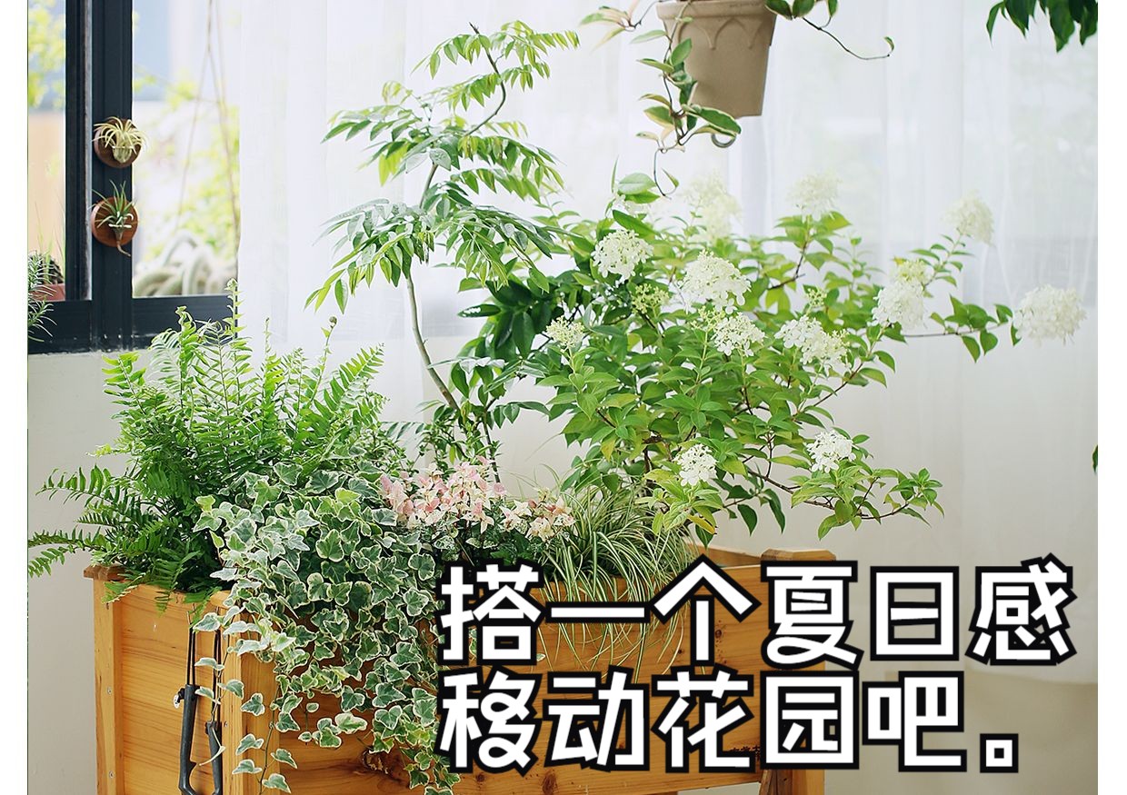 移动花箱 | 搭一个夏日感移动花箱吧.哔哩哔哩bilibili