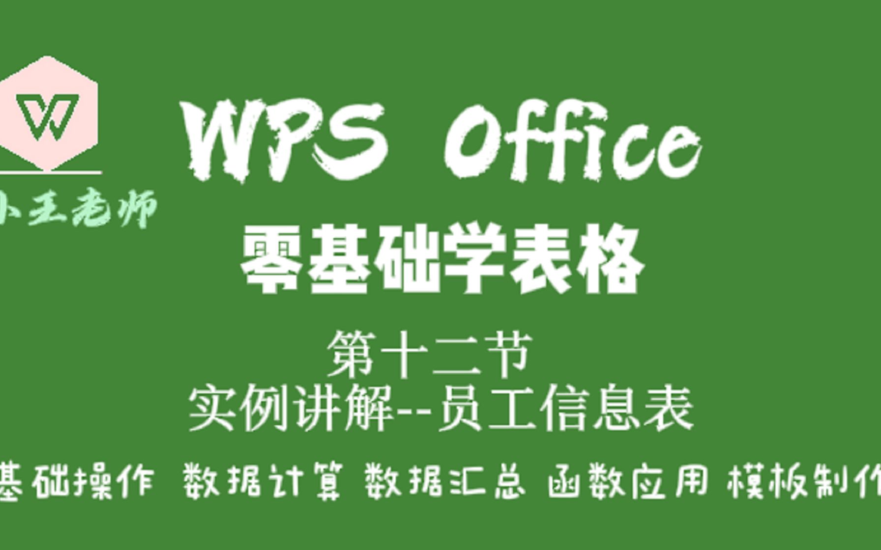 WPS零基础学表格:实例讲解员工信息表哔哩哔哩bilibili