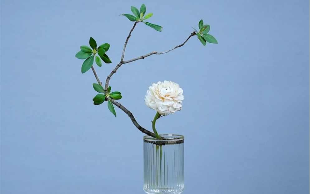 阿米亚花艺|杜鹃洋牡丹玻璃杯插花_哔哩哔哩_bilibili