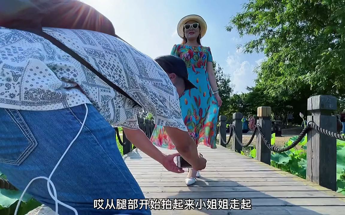 荷塘美景,给你心爱的人拍起来吧!哔哩哔哩bilibili