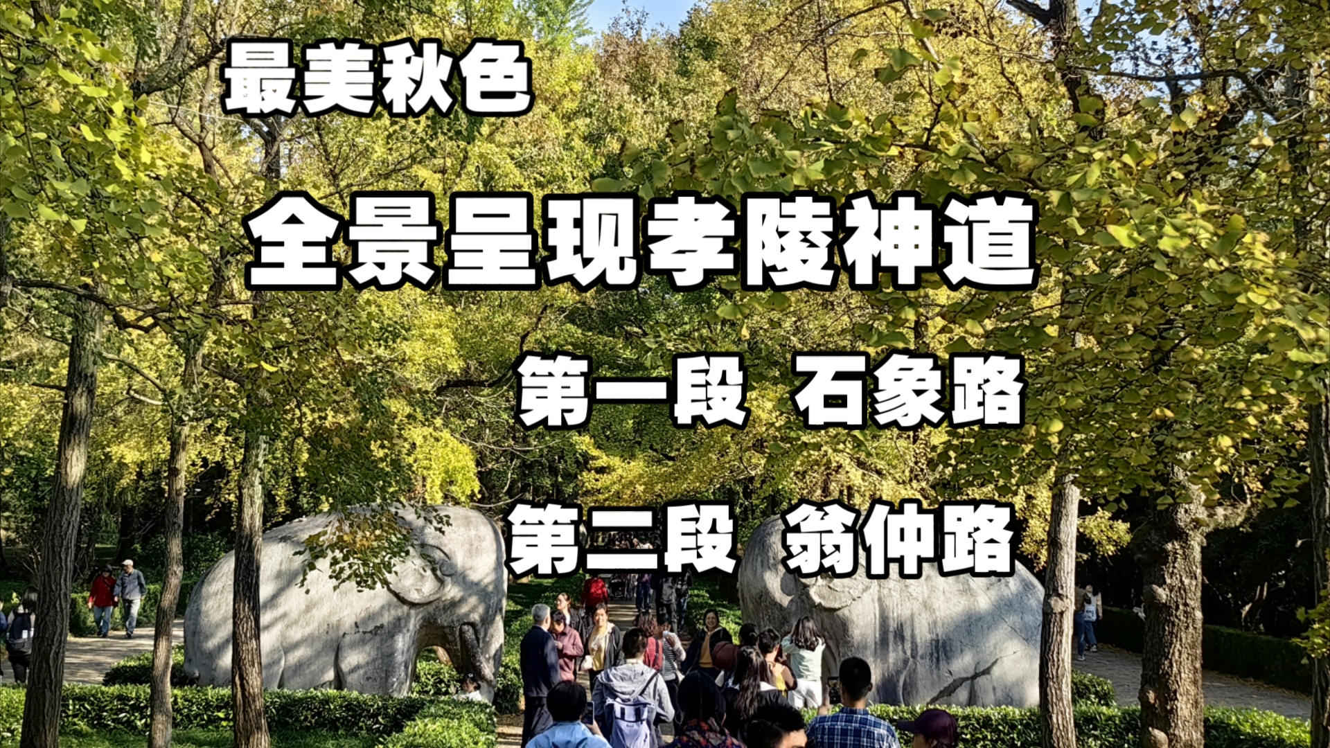 最美秋色全景呈现孝陵神道,第一段最美600米石象路,第二段翁仲路神道哔哩哔哩bilibili