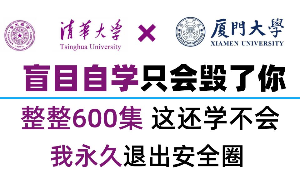 【比刷抖音爽!】清华大学和厦门大学强强联手打造的网络安全教程!零基础也能入门web安全渗透测试技术哔哩哔哩bilibili