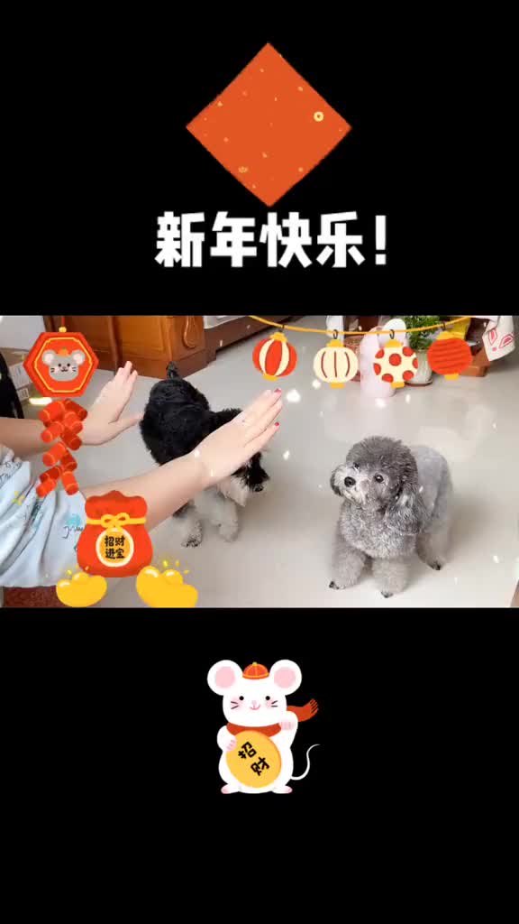 鼠年做个抖音=鼠年发抖音的句子