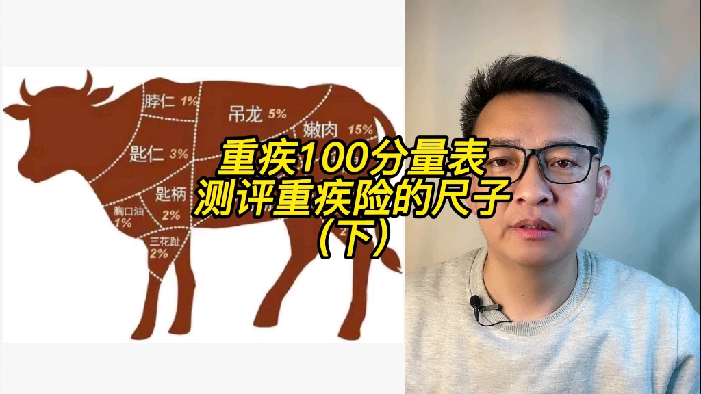 重疾100分量表哔哩哔哩bilibili