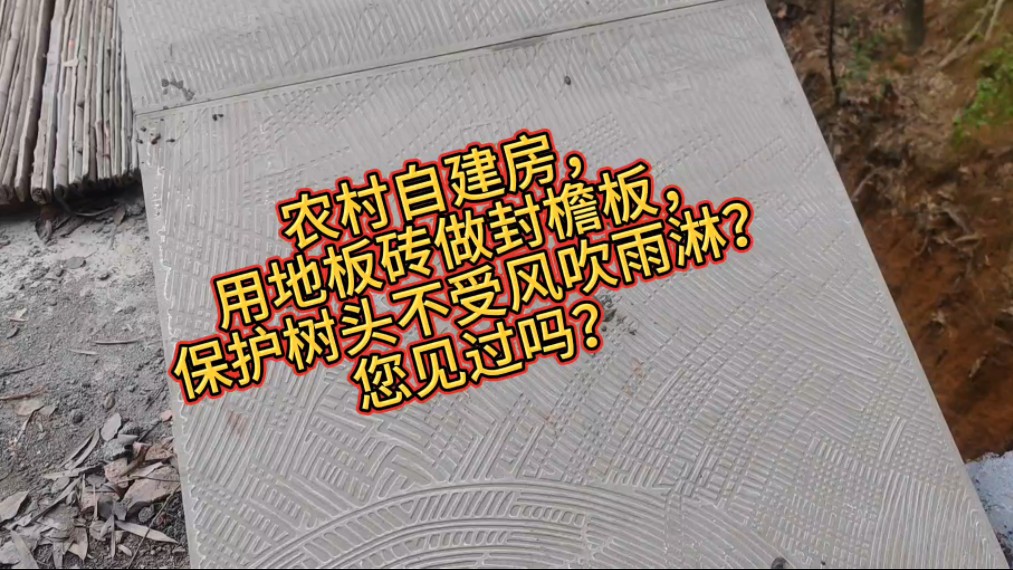 自建房,用地板砖做封檐板,保护树头不受风吹雨淋?您见过吗?哔哩哔哩bilibili