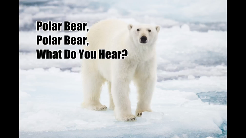 Polar Bear, Polar Bear, What Do You Hear?卡尔老爷爷经典英文启蒙绘本唱版哔哩哔哩bilibili