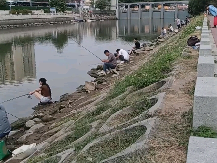 在深圳哪里有垂钓休闲的地方,帮大家踩点了——深圳宝安,男女老少均有.哔哩哔哩bilibili