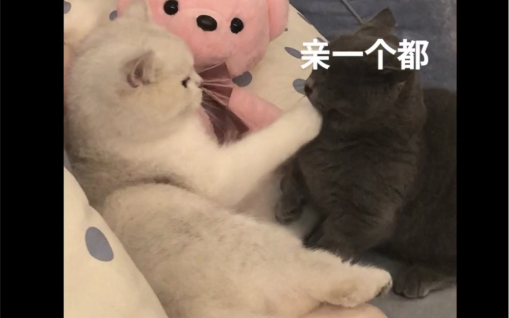 活动作品当你女朋友叫你帮她洗jiojio敲甜