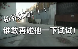 Download Video: 【两A相逢必有一O】【歪歪】柏爷来护妻啦！！！