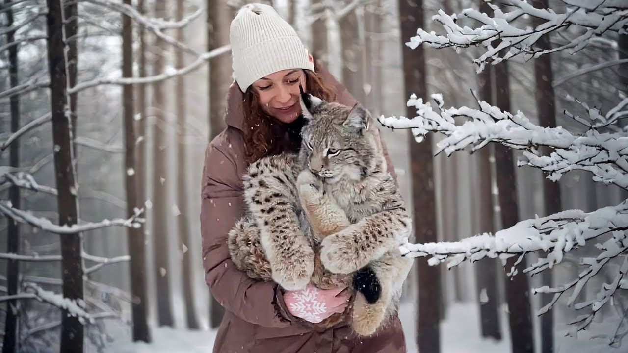 猞猁牌暖宝宝,你值得拥有 (猞猁姐姐20240116)