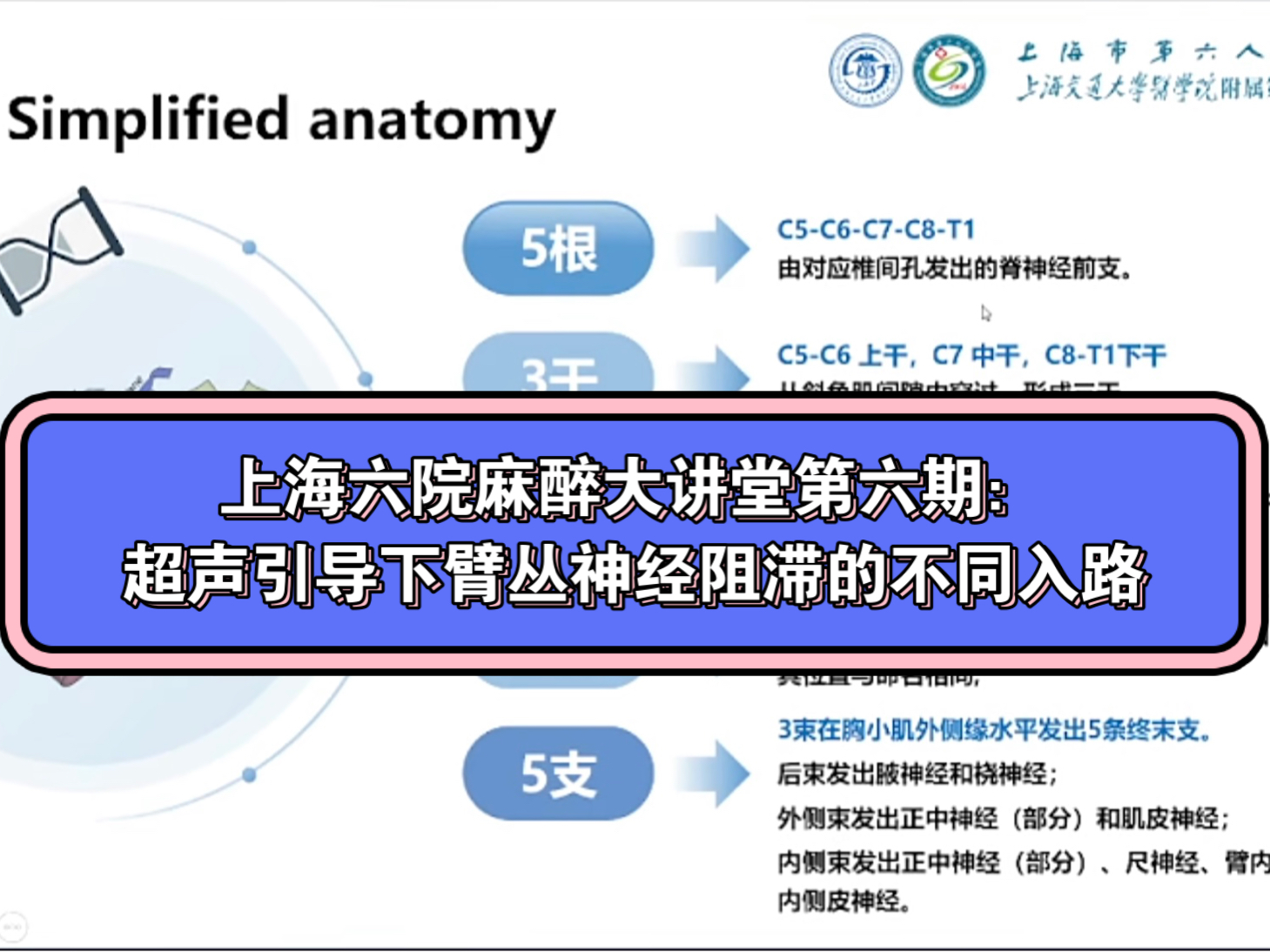 超声引导下臂丛神经阻滞的不同入路哔哩哔哩bilibili