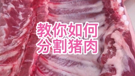 慢动作教你分割猪肉哔哩哔哩bilibili