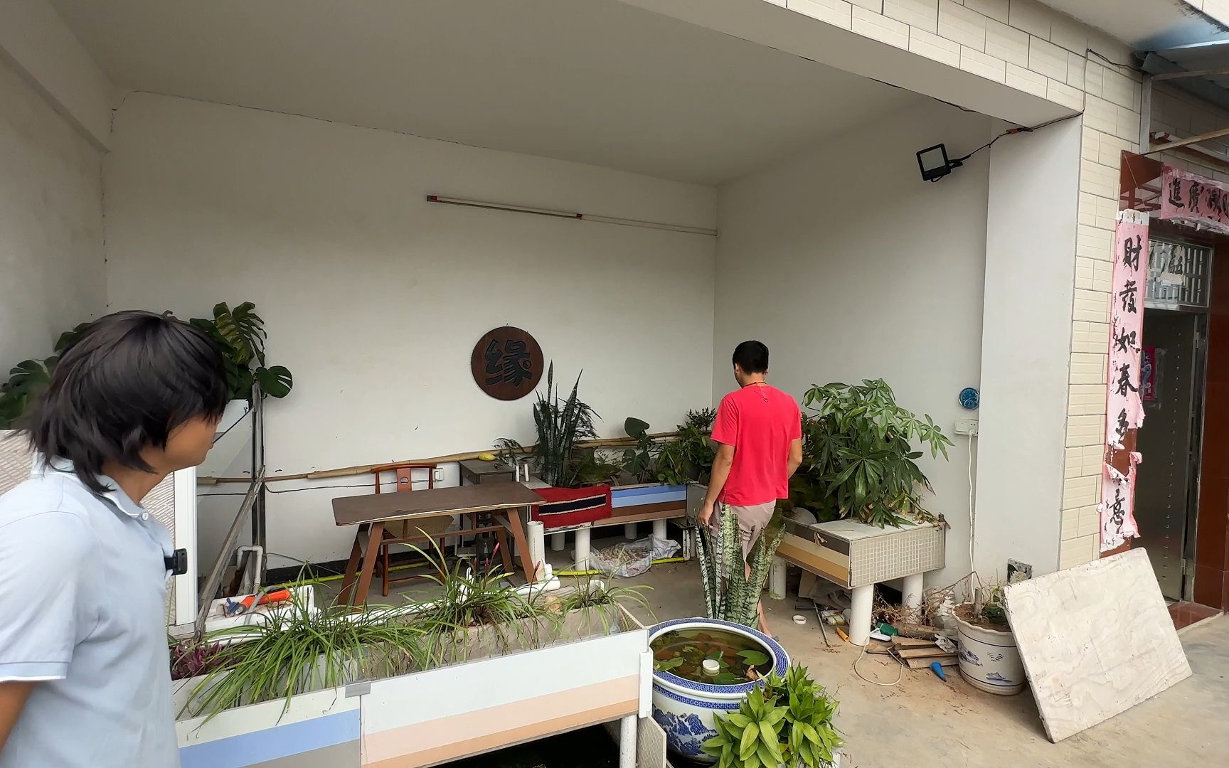 火焰龟换壳的高峰季节