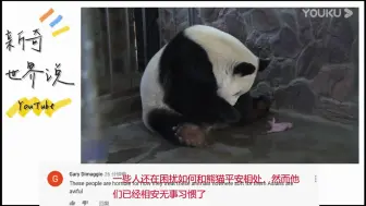 Download Video: 老外看中国：大熊猫分娩过程引发关注，YouTube网友纷纷评论