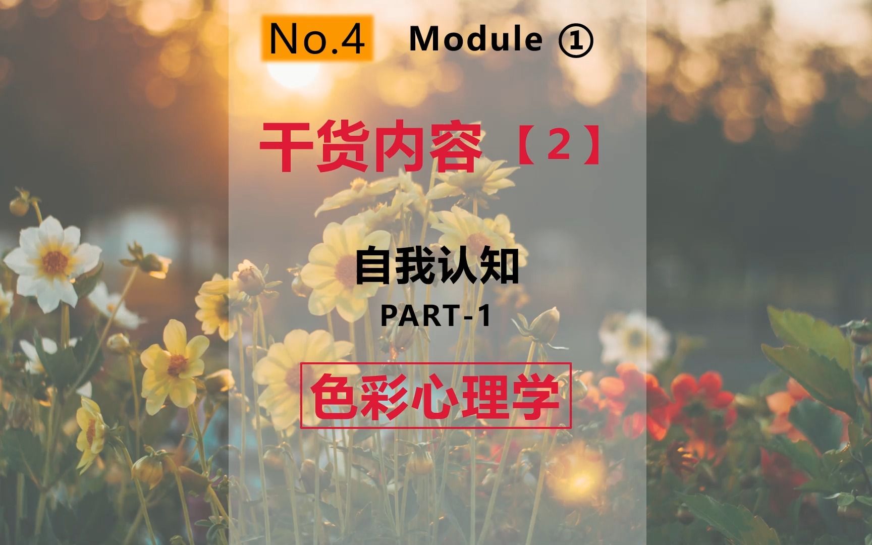 3.2.1干货内容3自我认知色彩心理学哔哩哔哩bilibili