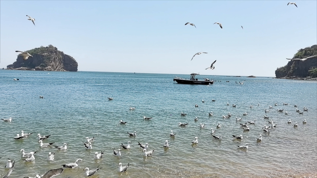 大连棒棰岛是我最喜欢的露营地点之一