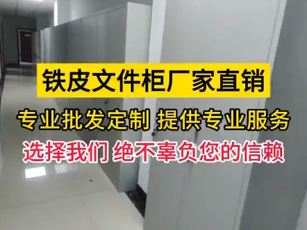 "直销特惠!铁皮文件柜,坚固耐用,收纳利器,厂家直销省成本,办公整理好帮手!"哔哩哔哩bilibili