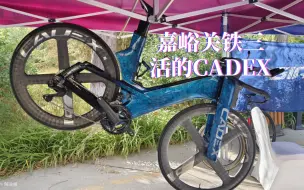 Download Video: 活的CADEX！线下摸一摸看一看