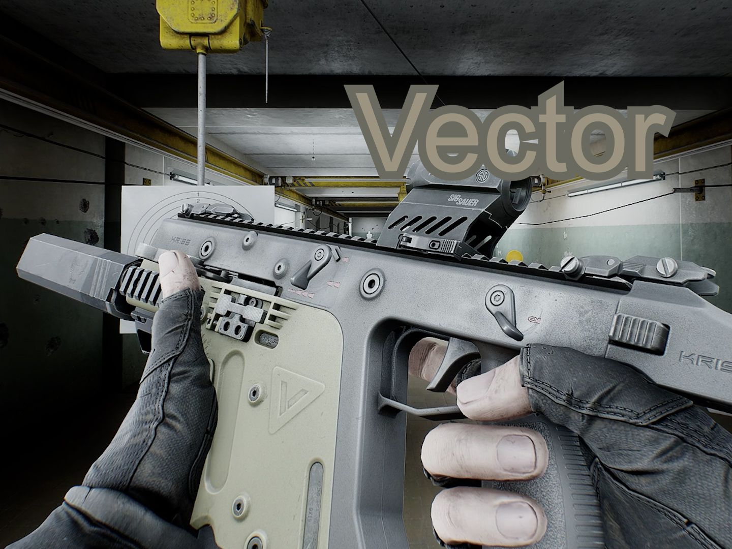 vector 枪械观赏带上耳机