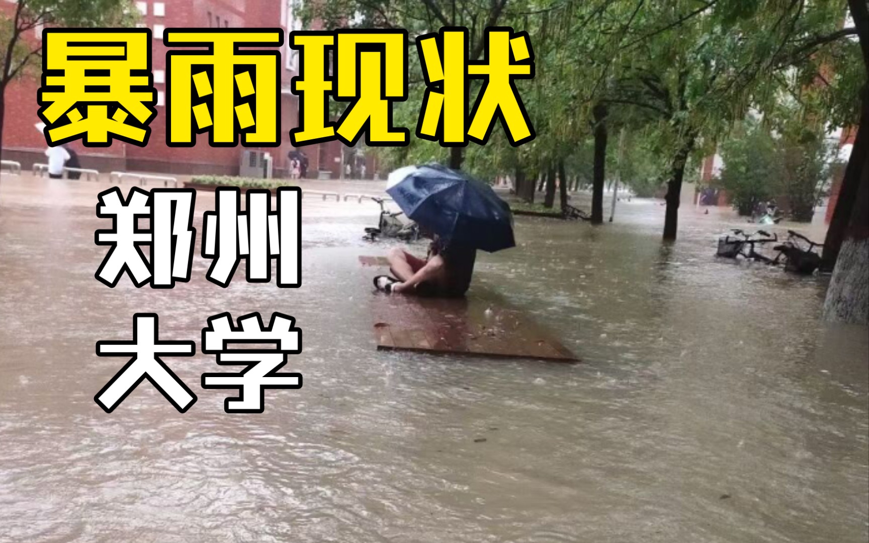 郑州大学暴雨图片