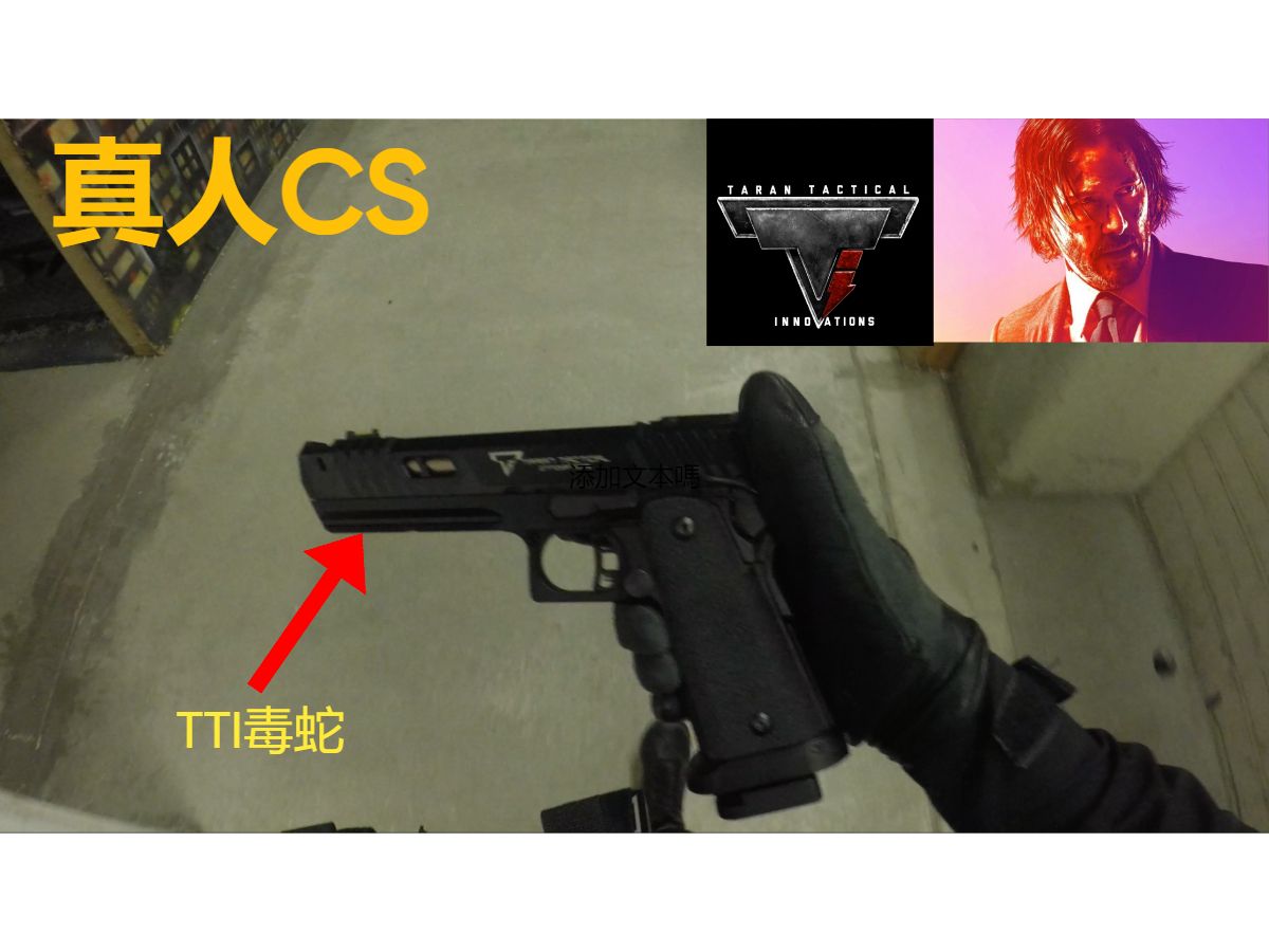 [真人cs] 基努·里维斯同款塔兰战术pit viper毒蛇-cqb