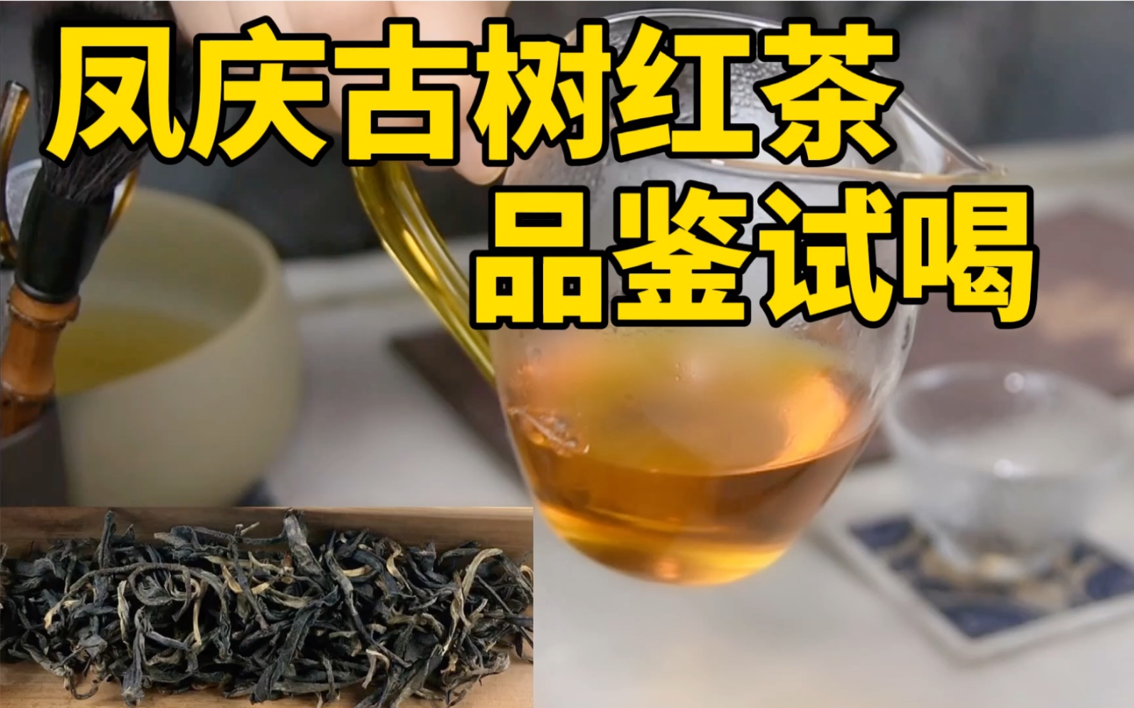 云南凤庆古树红茶品鉴试喝,普洱古树茶做的红茶,滋味美妙除夕夜哔哩哔哩bilibili