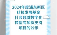 2024年度浦东新区科技发展基金社会领域数字化转型专项拟支持项目的公示哔哩哔哩bilibili