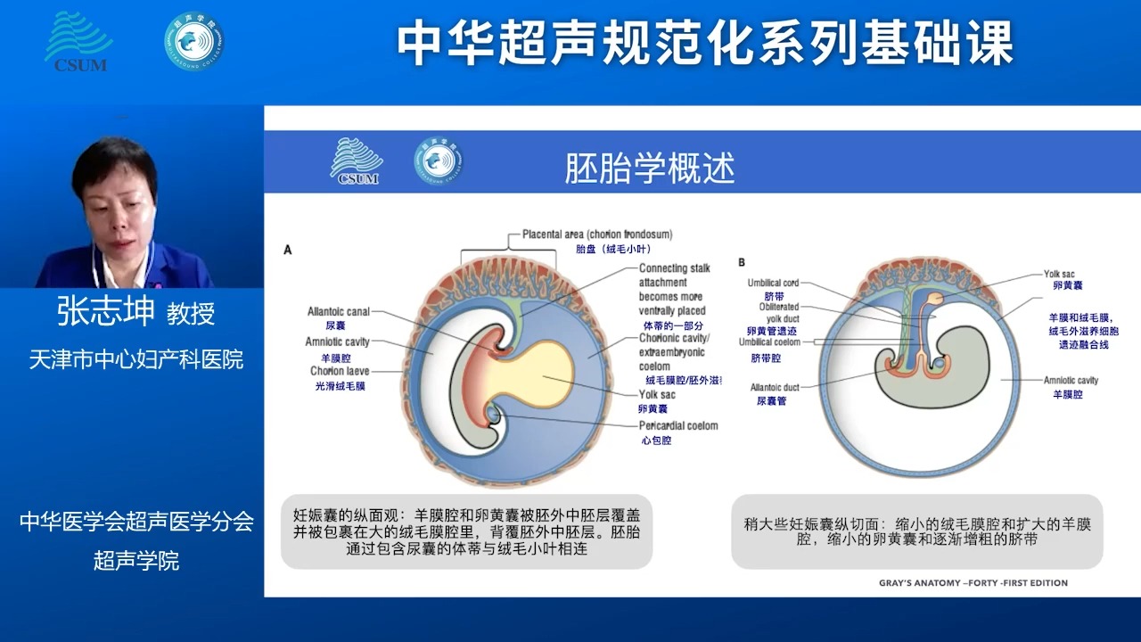 第12期 足踝关节解剖及超声检查规范|华兴 教授