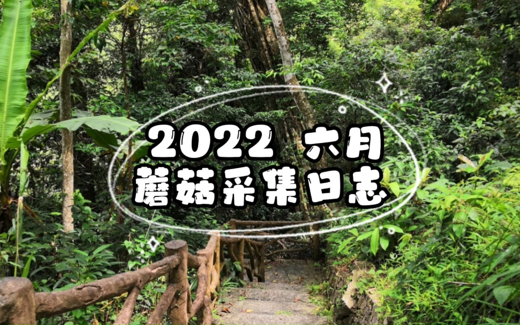 [图]2022六月海南热带雨林国家公园蘑菇采集