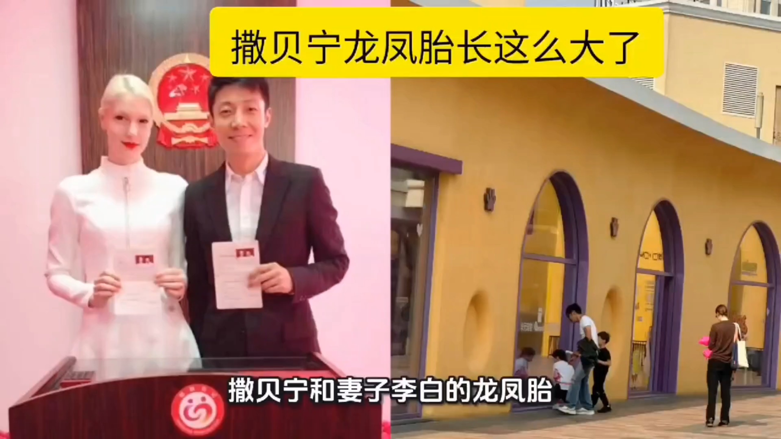 撒贝宁龙凤胎长这么大了，国庆回武汉探亲被偶遇