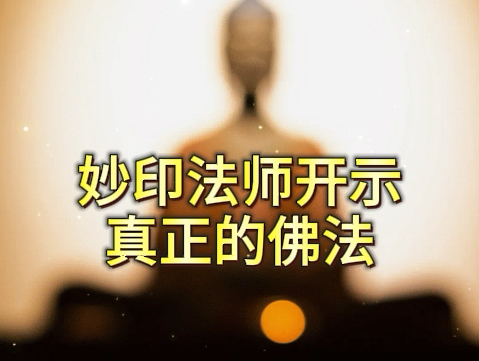 真正的佛法,是生生世世不忘失菩提心,生生世世修般若波罗蜜.