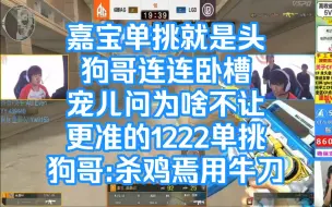 Video herunterladen: 嘉宝单挑就是头 狗哥连连卧槽 宠儿问为啥不让更准的1222单挑 狗哥:杀鸡焉用牛刀