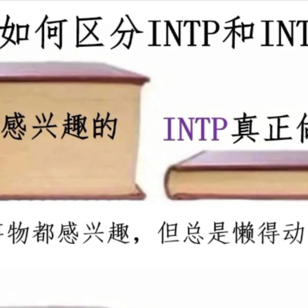 Toddyn MBTI Personality Type: INTP or INTJ?