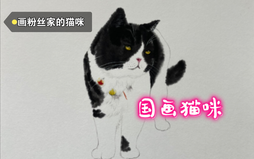 国画猫咪 绘画过程哔哩哔哩bilibili