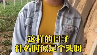 【大学生返乡】什么时候是个头呀