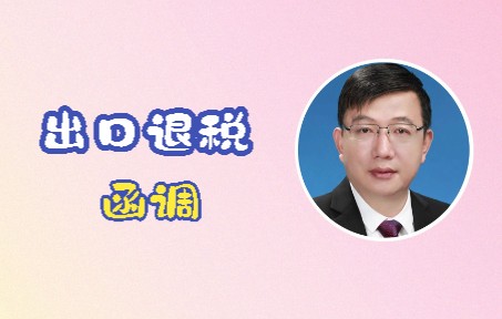 出口退税函调哔哩哔哩bilibili