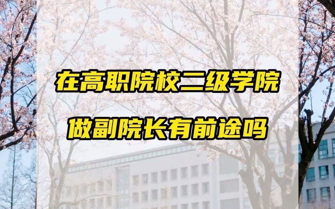 在高职院校二级学院做副院长有前途吗?哔哩哔哩bilibili