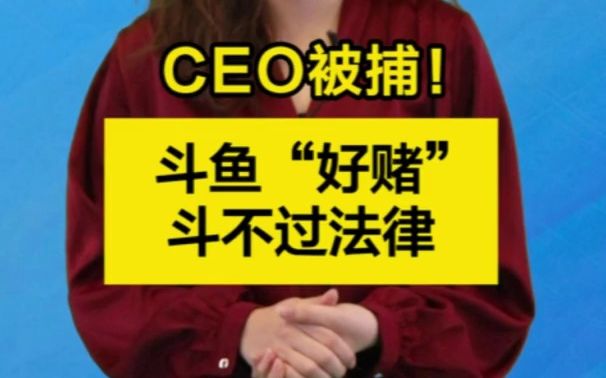 新闻我来说|CEO被捕!斗鱼“好赌”,斗不过法律哔哩哔哩bilibili