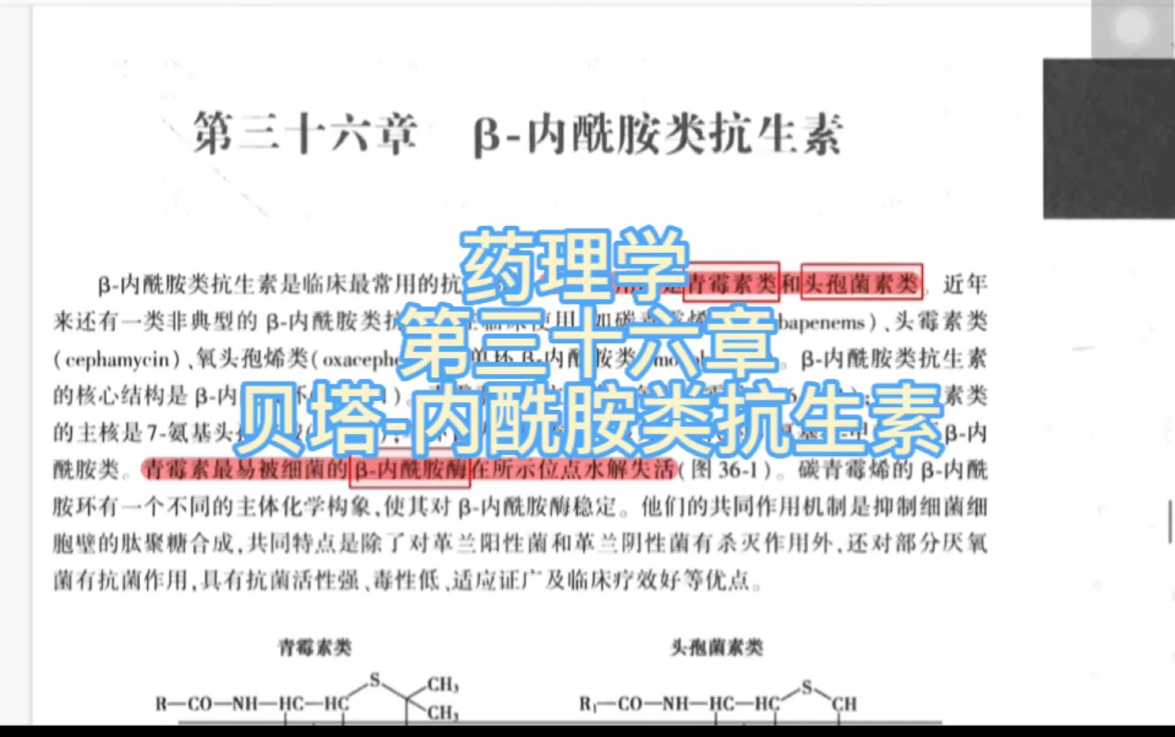 [图]药理学 第三十六章 贝塔 内酰胺类抗生素