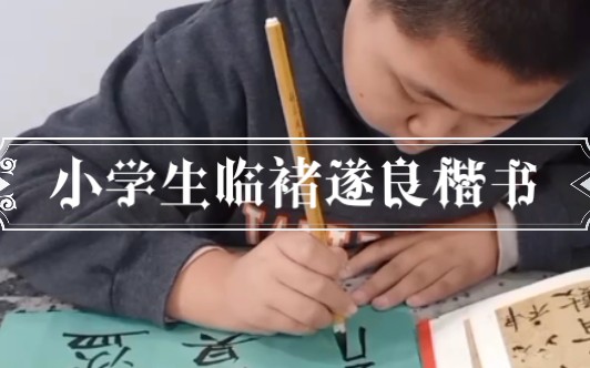 滨州书法培训褚体硬笔书法楷书规范字快写中高考作文专用字体教学成人班学生班毛笔教育部考试中心书法考级滨州指定培训单位滨州市书法家协会教育委员...