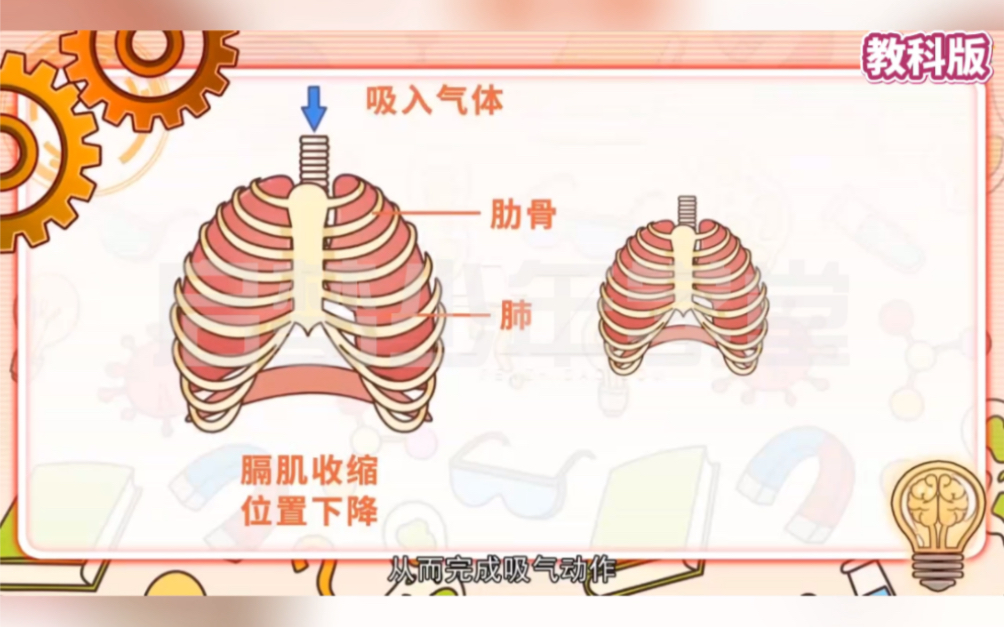 四年级上册科学《感受我们的呼吸》教科版,把课本知识做成动画视频,化抽象为具体,变得生动有趣,清晰直观,更容易学会,重难点突破,理解掌握课本...