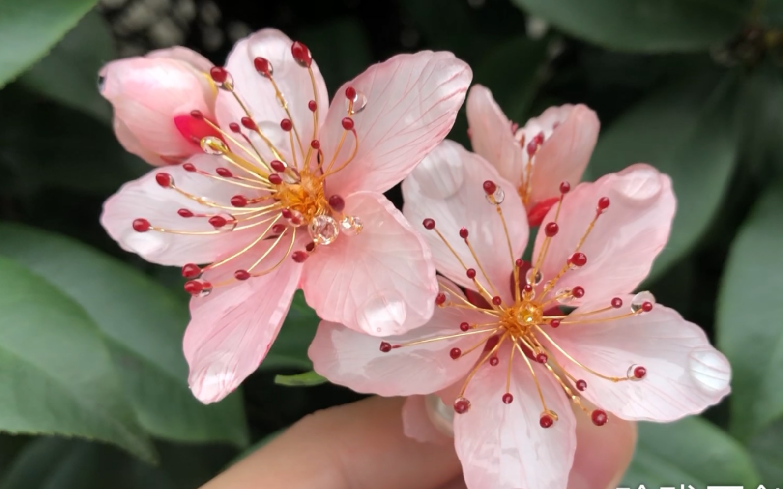 玲珑原创 热缩桃花 桃花花蕊制作过程程程前半段