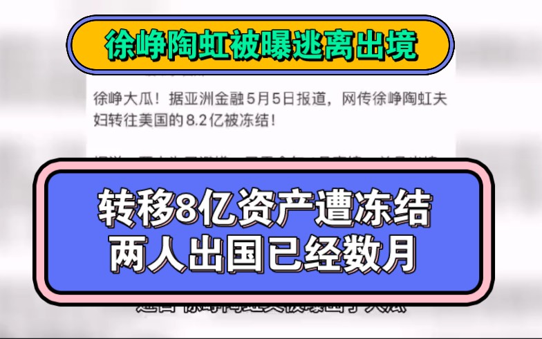 徐峥陶虹被曝逃离出境,转移数亿资产遭拦截,两人出国已经数月哔哩哔哩bilibili