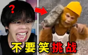 Video herunterladen: 毁童年级！这孙悟空笑死我了哈哈【不要笑挑战】