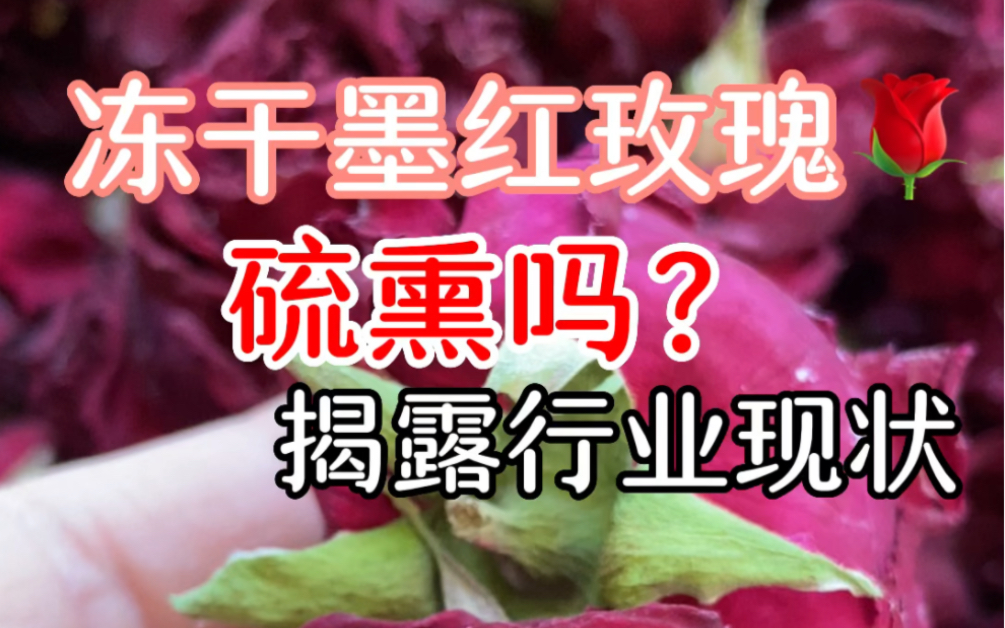 云南冻干墨红玫瑰花,养生花茶,女生最爱哔哩哔哩bilibili