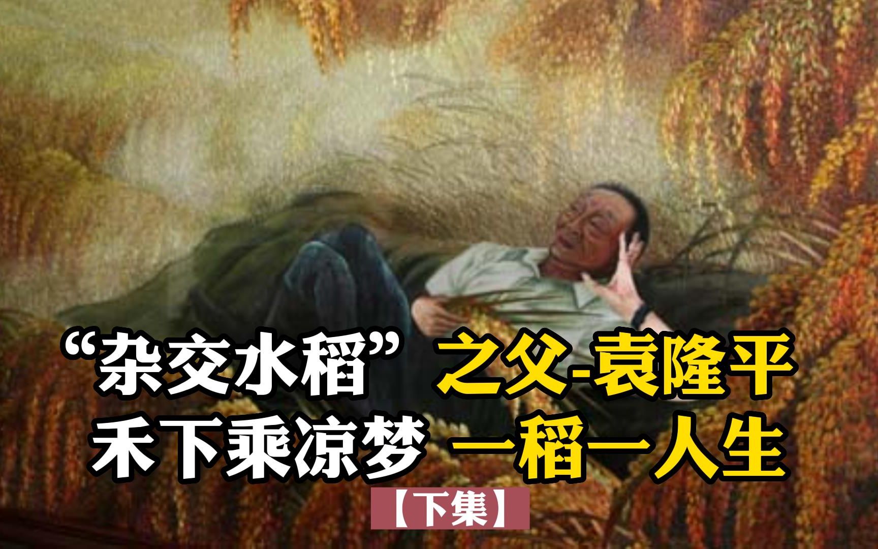 [图]“杂交水稻”之父-袁隆平，禾下乘凉梦,一稻一人生【下集】