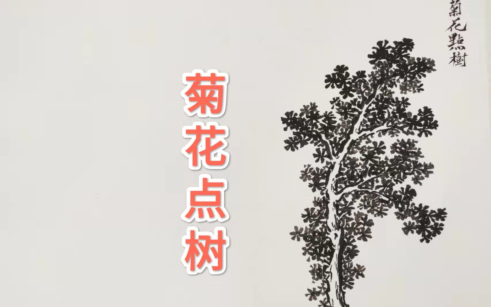 [图]芥子园画传——树法【菊花点树】临摹示范