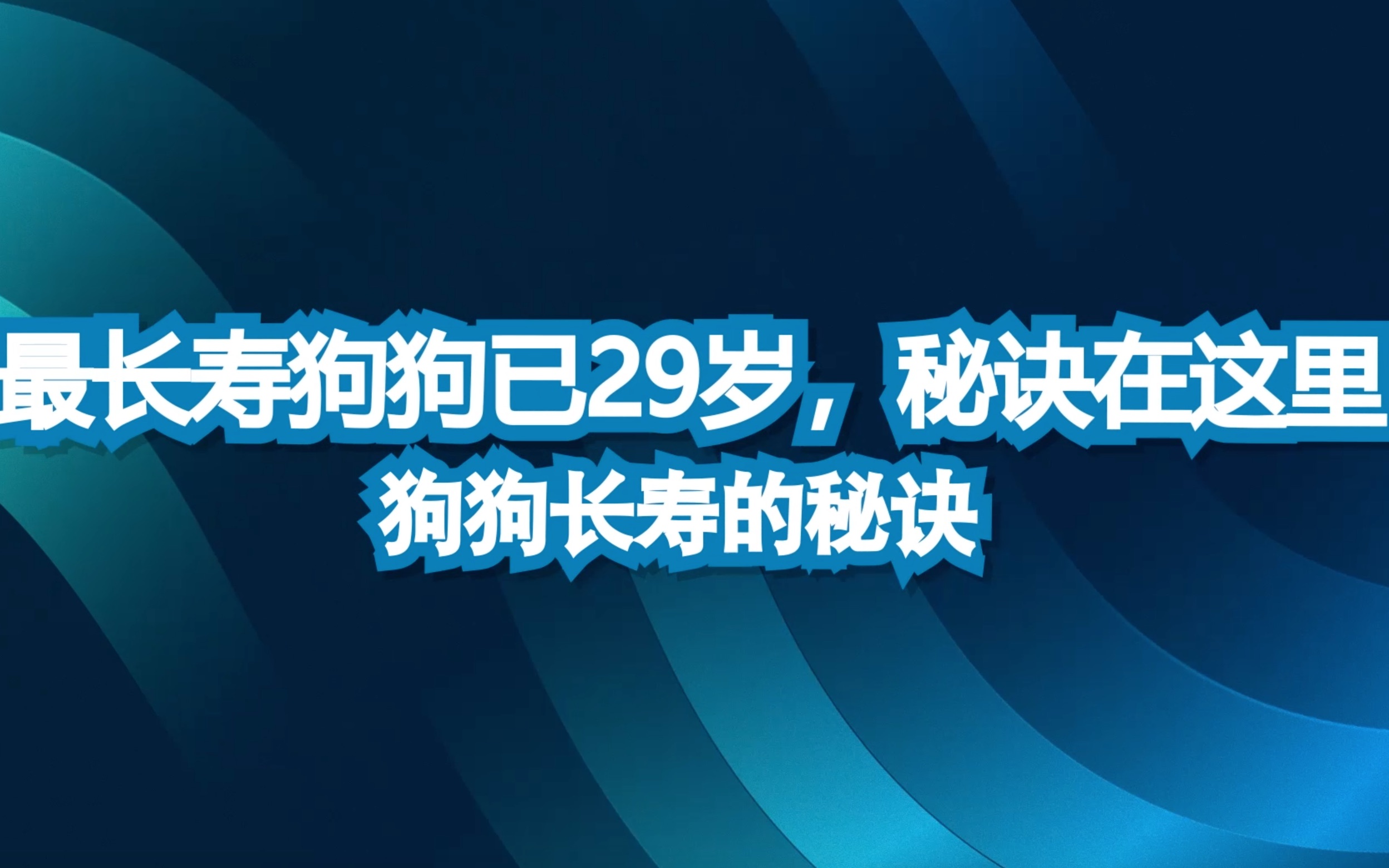 最长寿狗狗已29岁,秘诀在这里哔哩哔哩bilibili